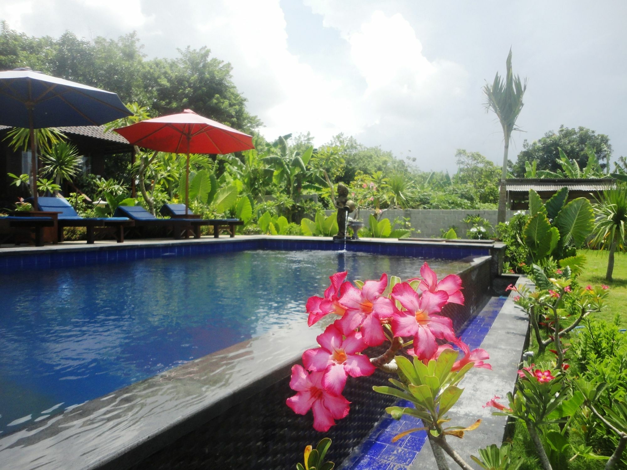 Dream Beach Berlian Lembongan Eksteriør billede